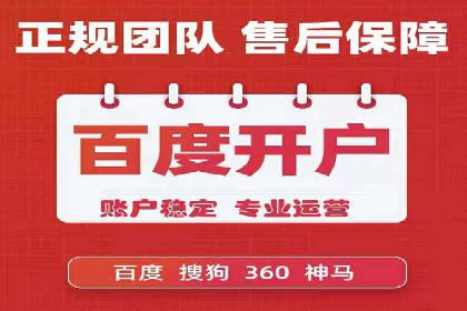 百度推广代运营案例：案例分享：打造行业领军品牌